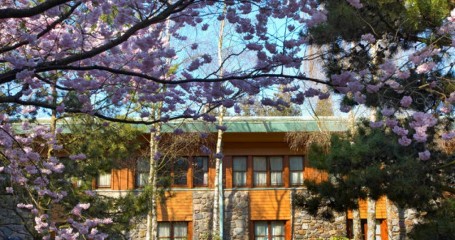 Disney's Sequoia Lodge – w nawiązaniu do amerykańskiej przyrody
