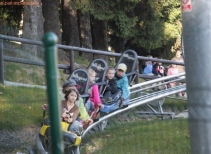Alpine coaster