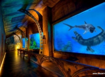 Oceanarium Prehistoryczne 3D