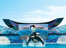 One Ocean®
