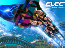 Electric Eel Roller Coaster
