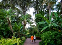 Botanical Gardens 