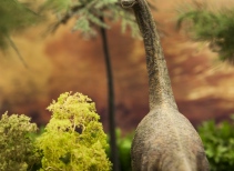 Dinozaury roślinożerne