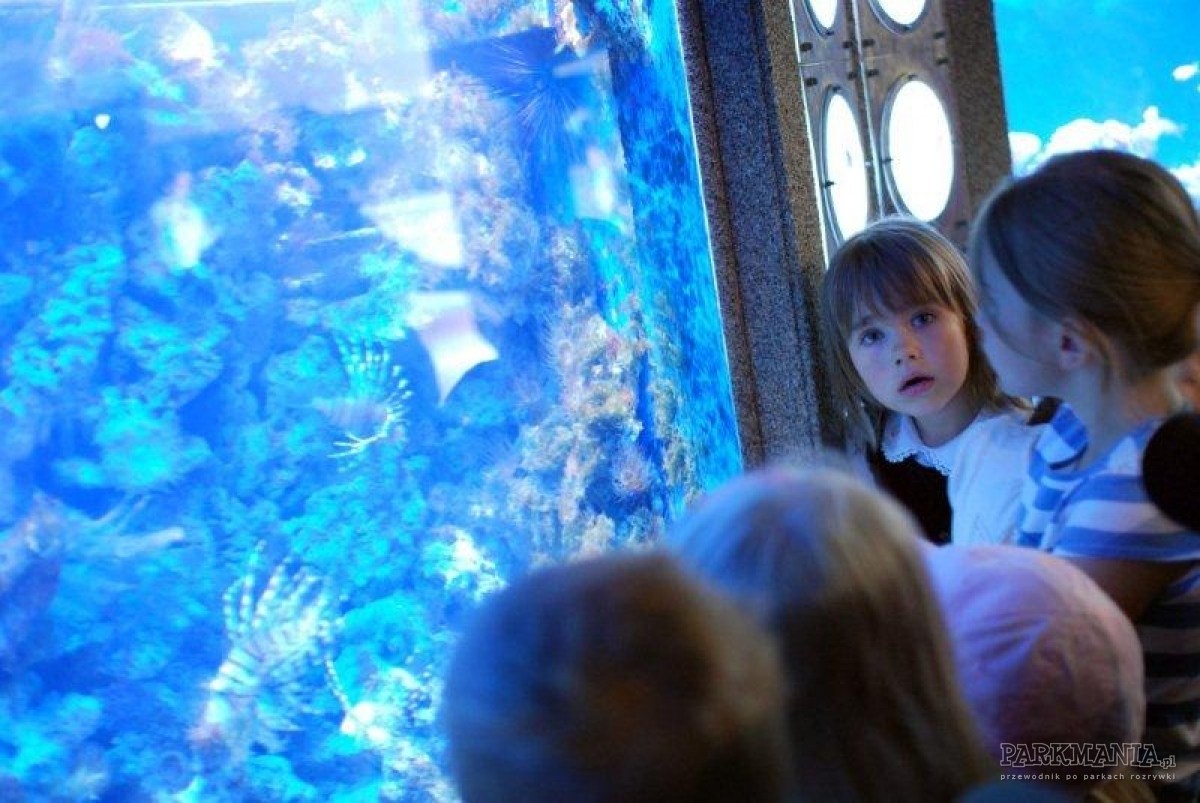 Poczuj magię orientu w Akwarium Gdyńskim