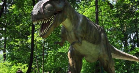 W których parkach poruszają się dinozaury?