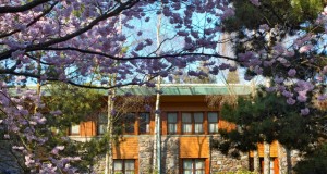 Disney's Sequoia Lodge – w nawiązaniu do amerykańskiej przyrody