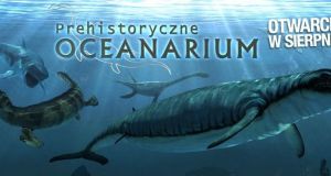 Obok JuraParku w Bałtowie powstaje Oceanarium Prehistoryczne
