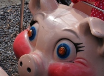 Piggy Train