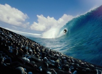 Ultimate Wave Tahiti 