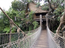 Tarzan's Treehouse™ 