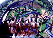 The Great White Roller Coaster