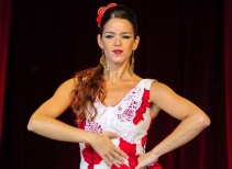 Flamenco-Show „Vivir la vida“