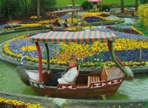 Flower Magic Boat Tour