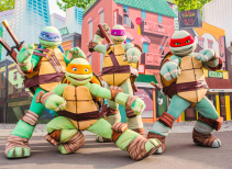Meet the Teenage Mutant Ninja Turtles