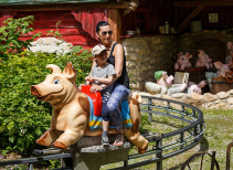 Pig ride