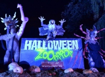 Halloween ZoorRror